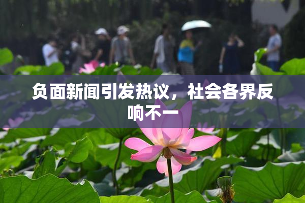 负面新闻引发热议，社会各界反响不一