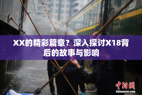 XX的精彩篇章？深入探讨X18背后的故事与影响