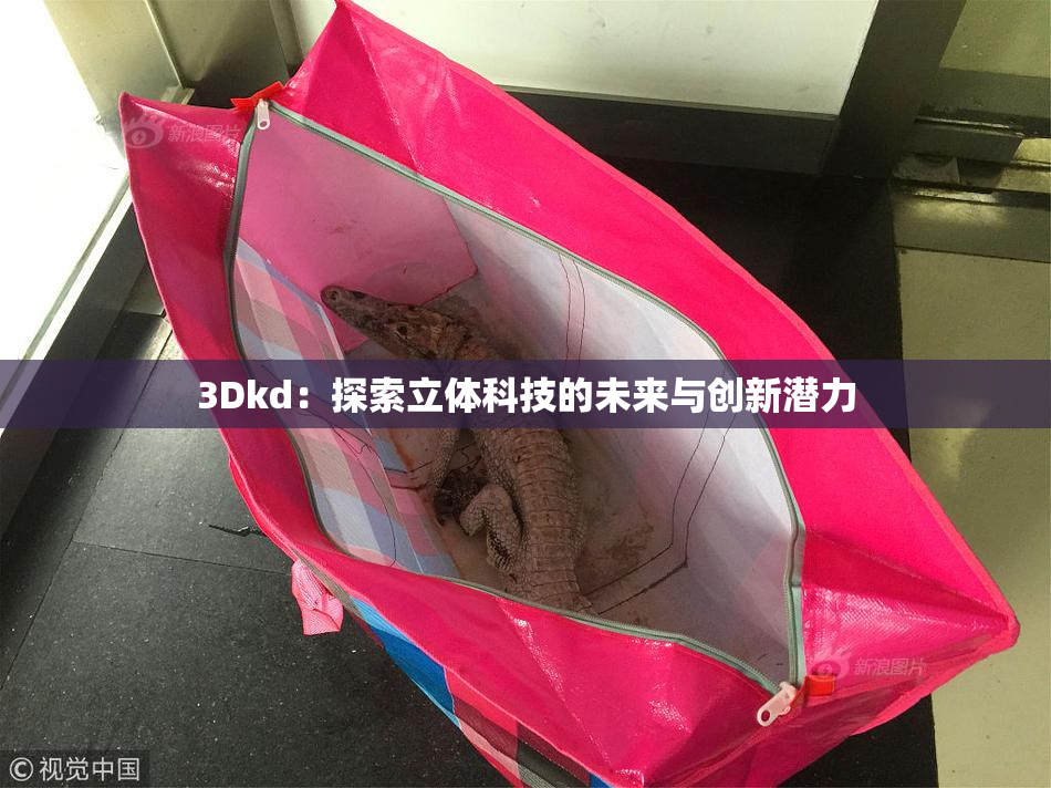 3Dkd：探索立体科技的未来与创新潜力