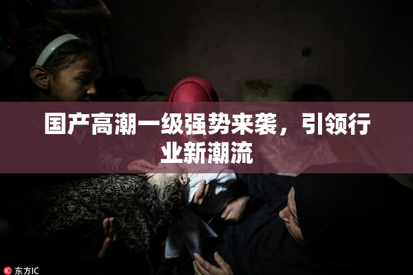 国产高潮一级强势来袭，引领行业新潮流