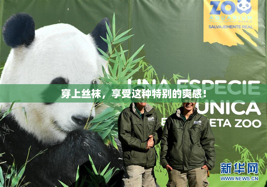 穿上丝袜，享受这种特别的爽感！