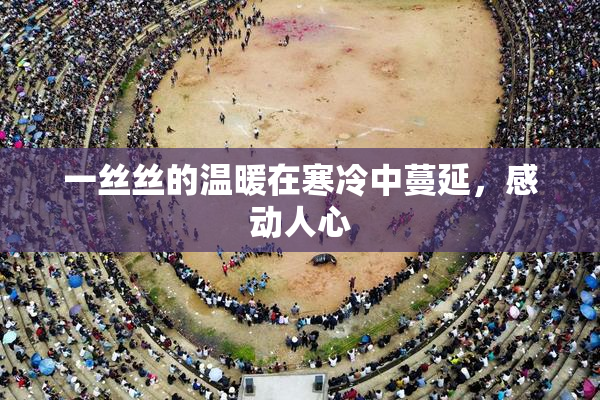 一丝丝的温暖在寒冷中蔓延，感动人心