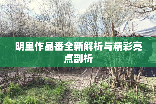 明里作品番全新解析与精彩亮点剖析