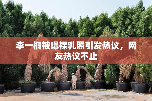 李一桐被曝裸乳照引发热议，网友热议不止