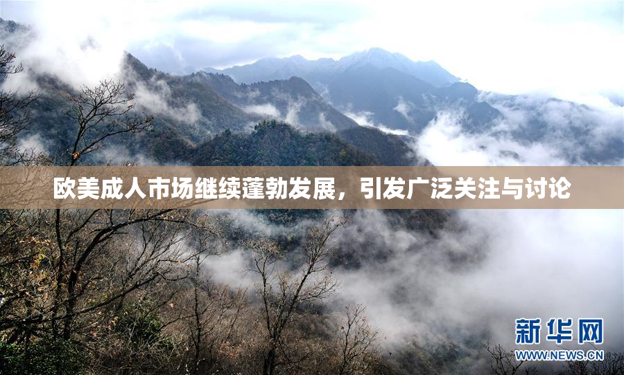 欧美成人市场继续蓬勃发展，引发广泛关注与讨论