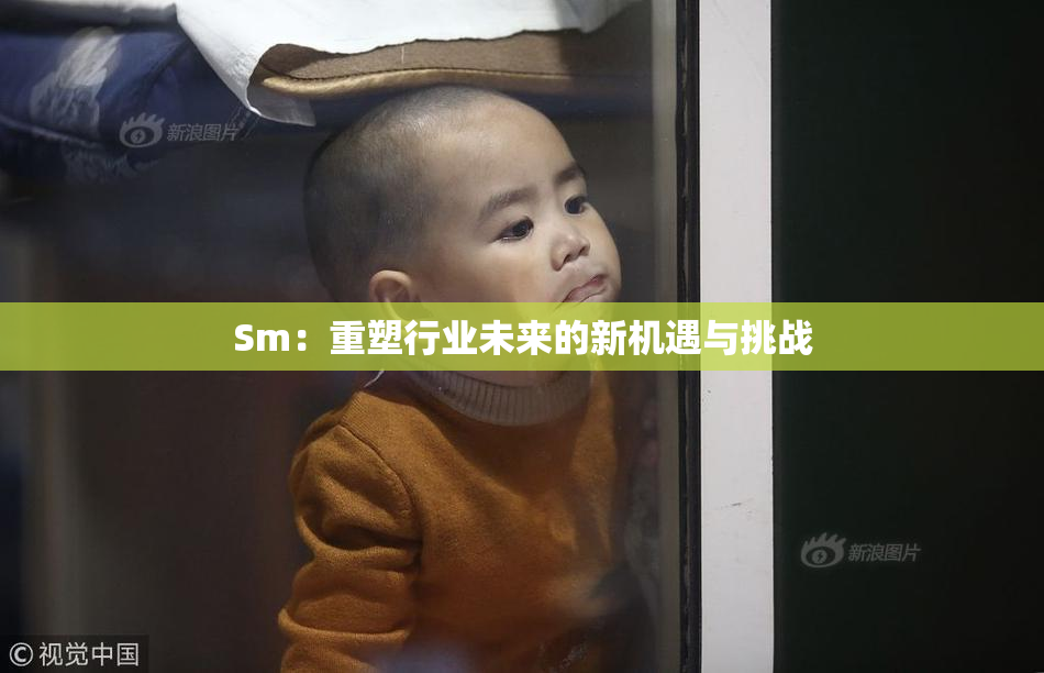 Sm：重塑行业未来的新机遇与挑战