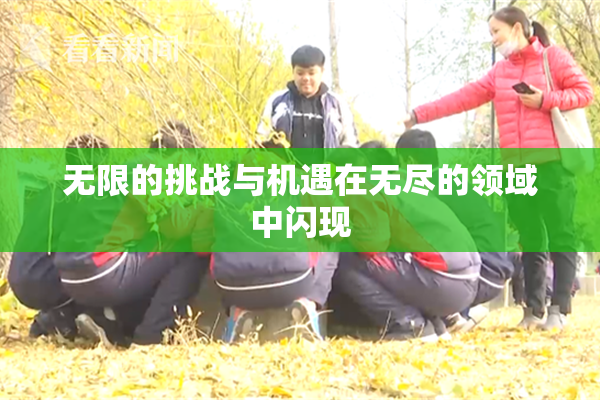 无限的挑战与机遇在无尽的领域中闪现