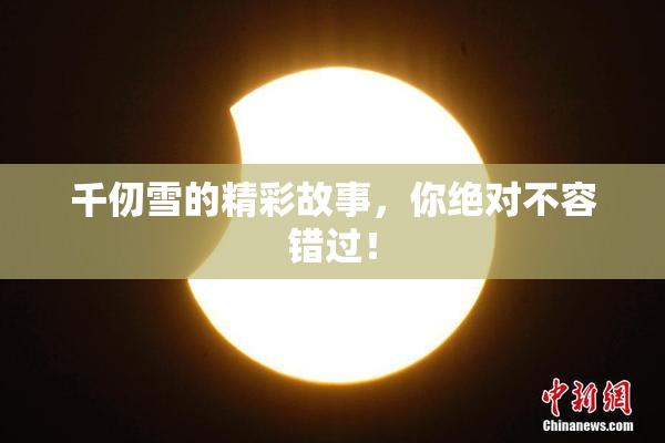 千仞雪的精彩故事，你绝对不容错过！