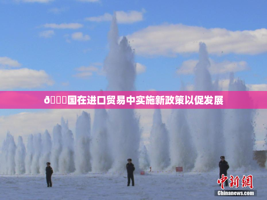 🔞国在进口贸易中实施新政策以促发展
