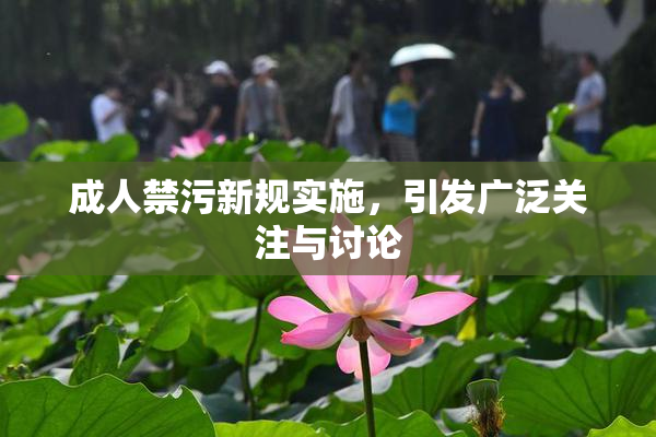 成人禁污新规实施，引发广泛关注与讨论