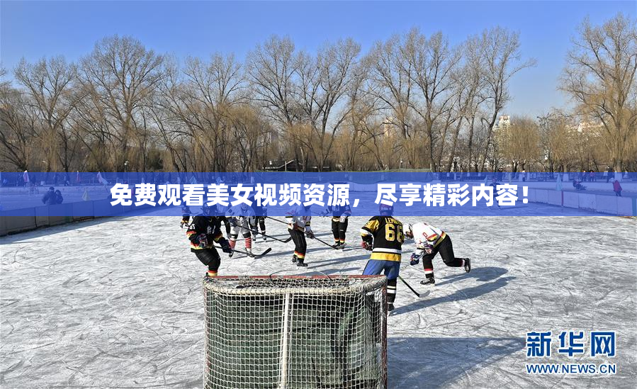 免费观看美女视频资源，尽享精彩内容！