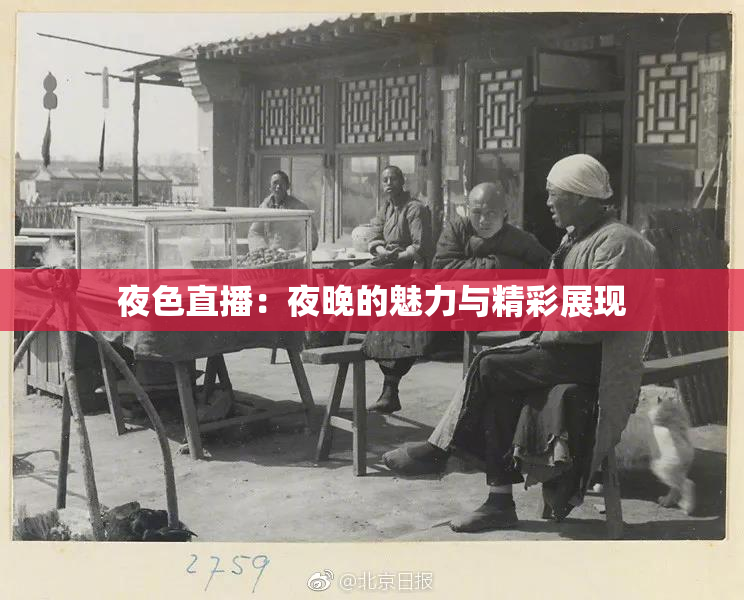 夜色直播：夜晚的魅力与精彩展现