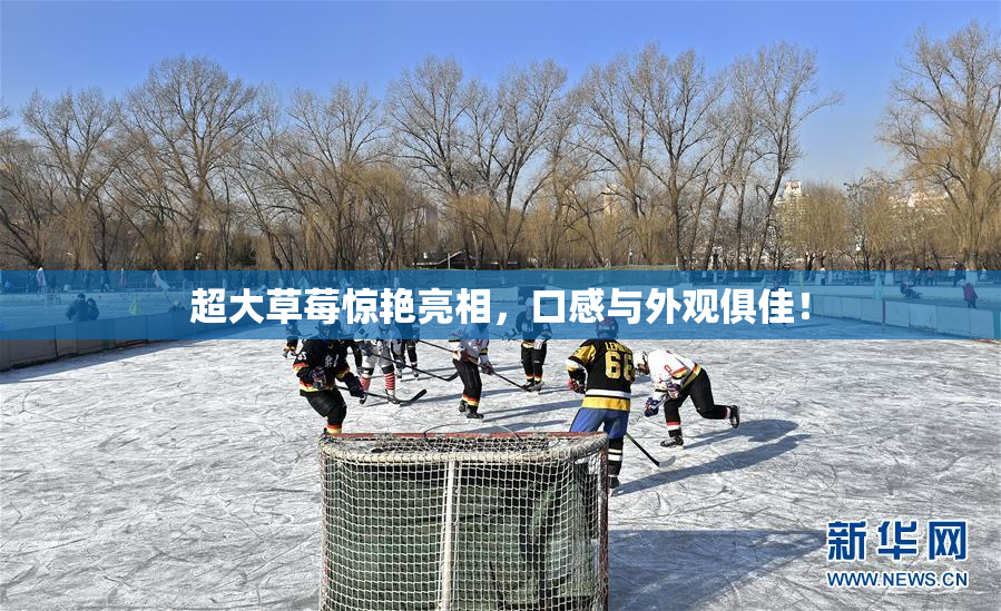 超大草莓惊艳亮相，口感与外观俱佳！
