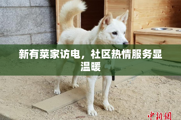新有菜家访电，社区热情服务显温暖