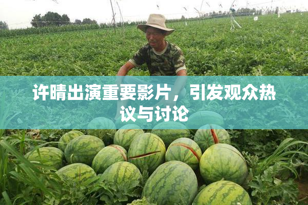 许晴出演重要影片，引发观众热议与讨论