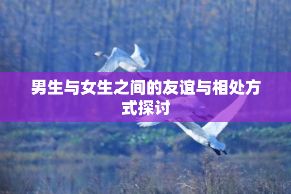 男生与女生之间的友谊与相处方式探讨