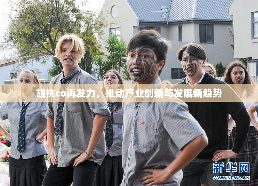 胡桃co再发力，推动产业创新与发展新趋势