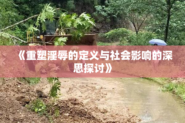 《重塑淫辱的定义与社会影响的深思探讨》