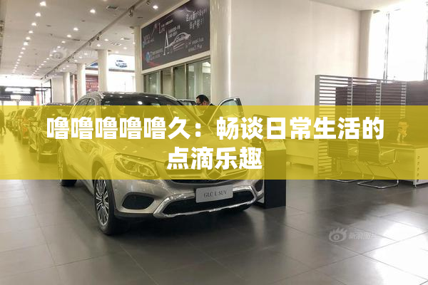 噜噜噜噜噜久：畅谈日常生活的点滴乐趣