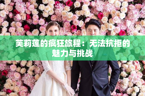 芙莉莲的疯狂旅程：无法抗拒的魅力与挑战