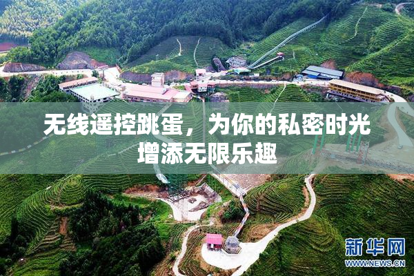 无线遥控跳蛋，为你的私密时光增添无限乐趣