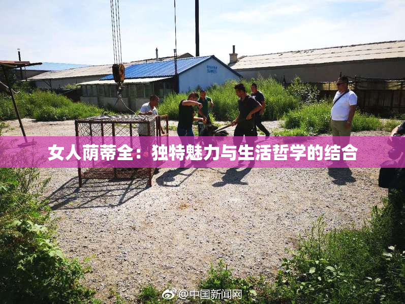 女人荫蒂全：独特魅力与生活哲学的结合