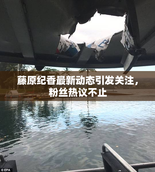 藤原纪香最新动态引发关注，粉丝热议不止