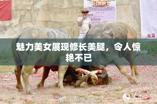 魅力美女展现修长美腿，令人惊艳不已