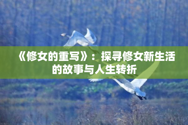 《修女的重写》：探寻修女新生活的故事与人生转折