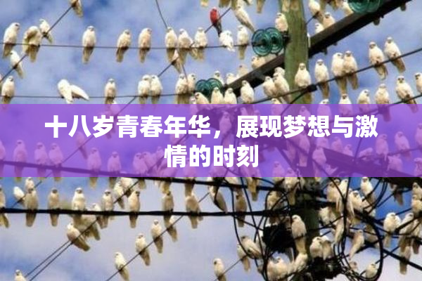 十八岁青春年华，展现梦想与激情的时刻