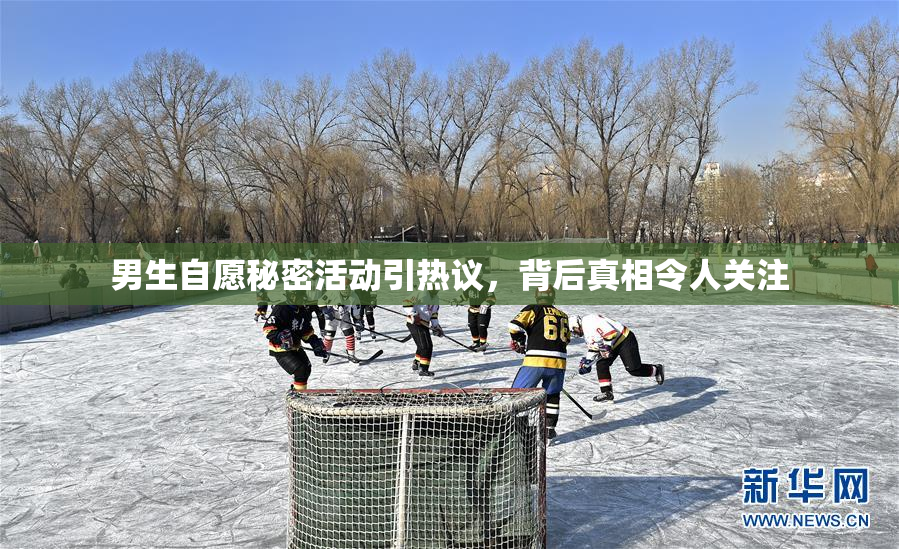 男生自愿秘密活动引热议，背后真相令人关注