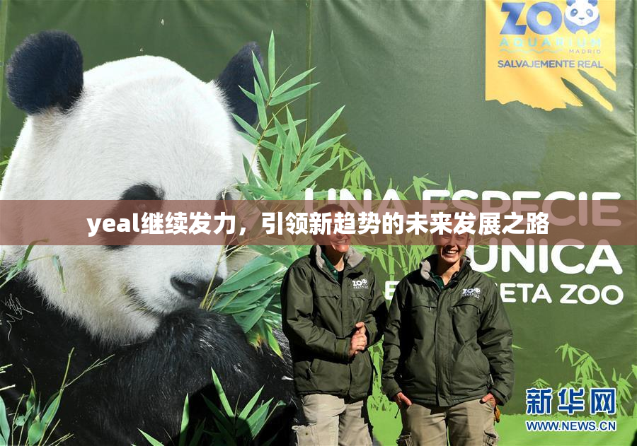 yeal继续发力，引领新趋势的未来发展之路