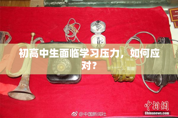 初高中生面临学习压力，如何应对？