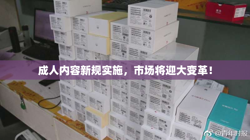 成人内容新规实施，市场将迎大变革！