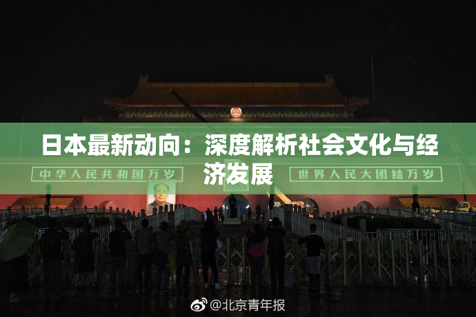 日本最新动向：深度解析社会文化与经济发展