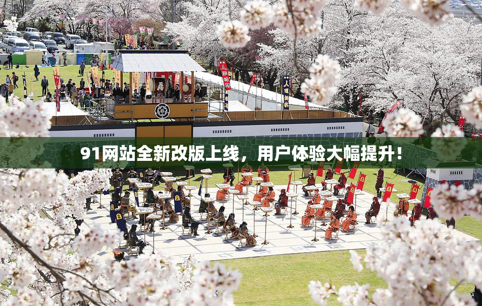 91网站全新改版上线，用户体验大幅提升！