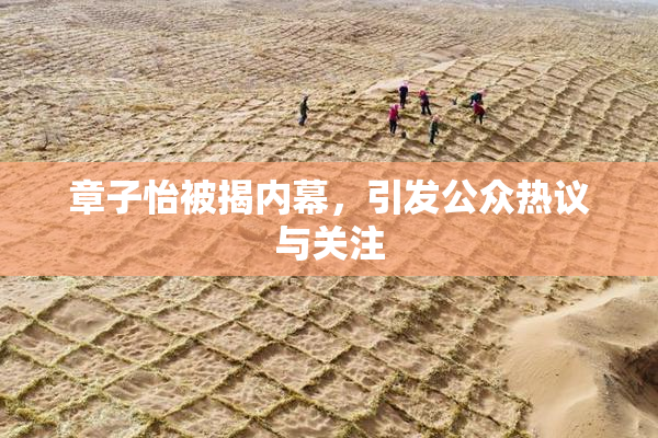 章子怡被揭内幕，引发公众热议与关注
