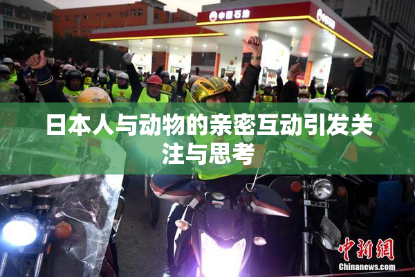 日本人与动物的亲密互动引发关注与思考