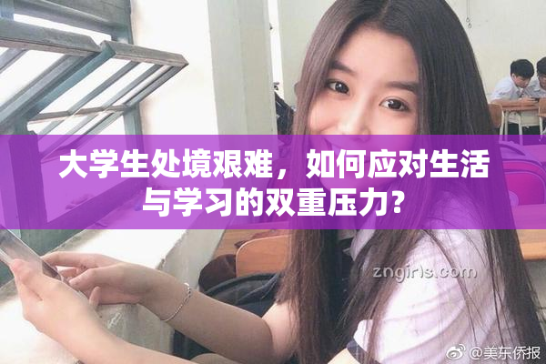 大学生处境艰难，如何应对生活与学习的双重压力？