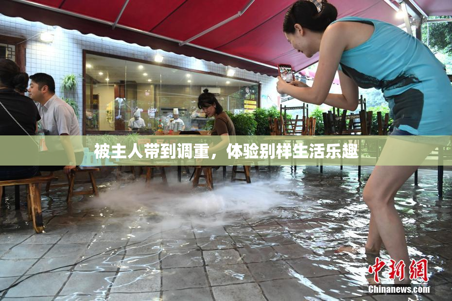 被主人带到调重，体验别样生活乐趣