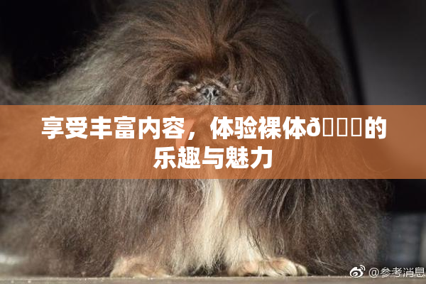 享受丰富内容，体验裸体🔞的乐趣与魅力
