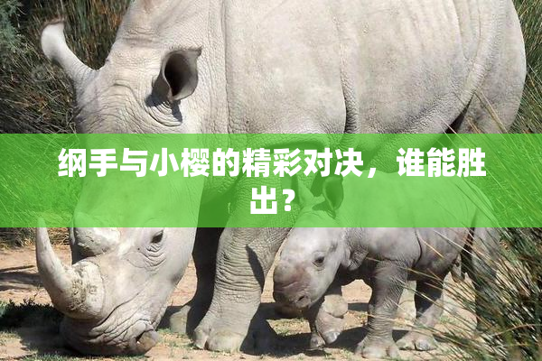 纲手与小樱的精彩对决，谁能胜出？