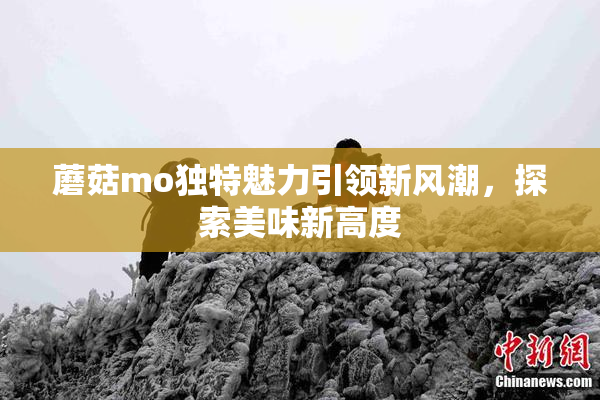 蘑菇mo独特魅力引领新风潮，探索美味新高度