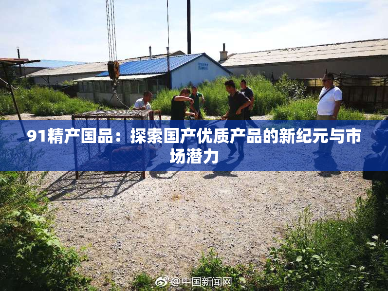 91精产国品：探索国产优质产品的新纪元与市场潜力