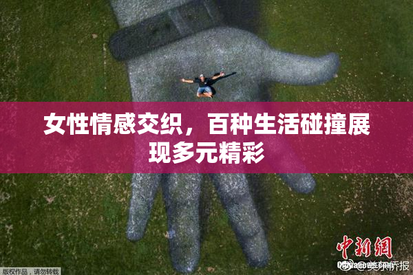 女性情感交织，百种生活碰撞展现多元精彩