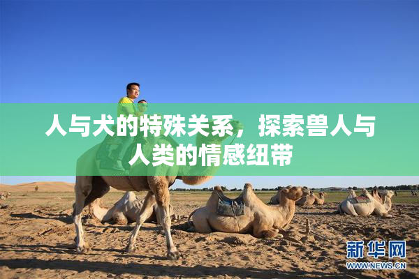 人与犬的特殊关系，探索兽人与人类的情感纽带