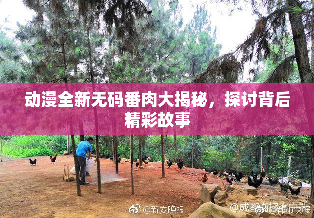 动漫全新无码番肉大揭秘，探讨背后精彩故事
