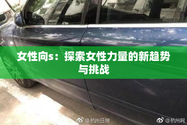 女性向s：探索女性力量的新趋势与挑战