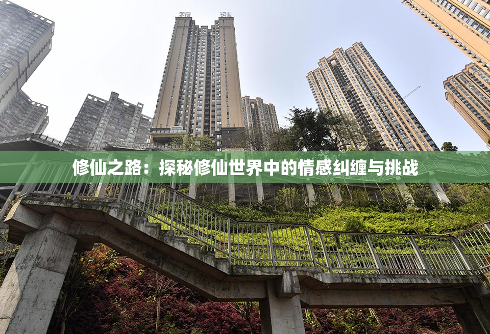 修仙之路：探秘修仙世界中的情感纠缠与挑战