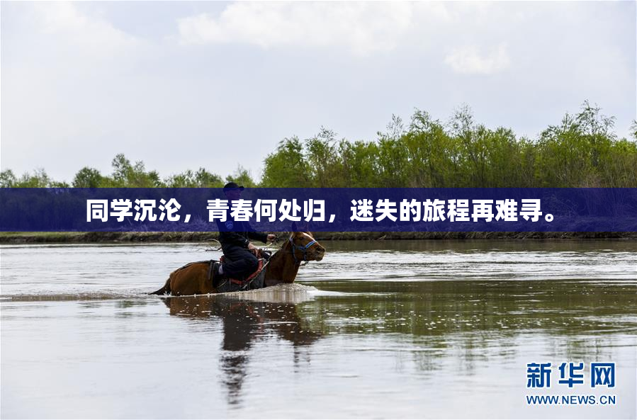 同学沉沦，青春何处归，迷失的旅程再难寻。